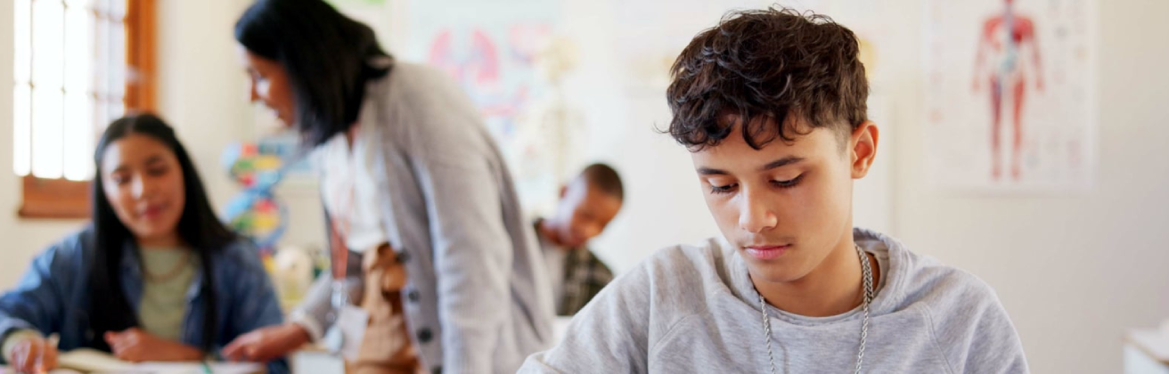 Currículo Nacional de Educación de Perú: ¿cuáles son sus 4 enfoques transversales?